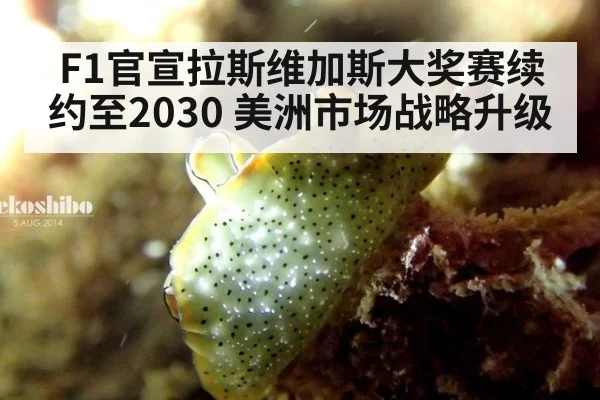 F1官宣拉斯维加斯大奖赛续约至2030 美洲市场战略升级