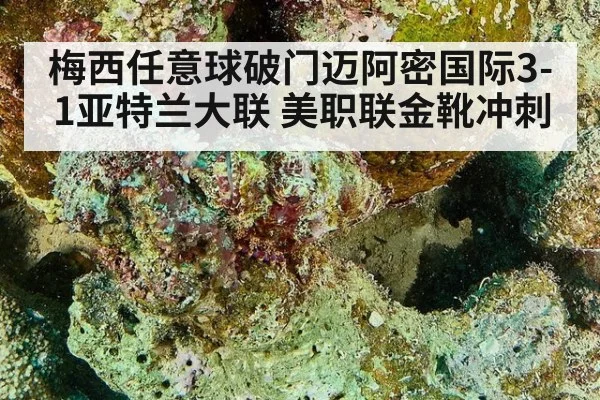 梅西任意球破门迈阿密国际3-1亚特兰大联 美职联金靴冲刺