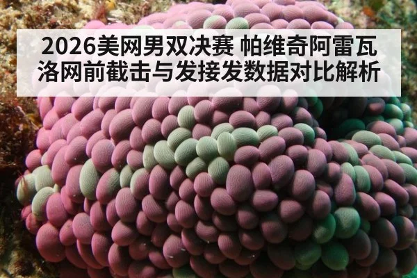2026美网男双决赛 帕维奇阿雷瓦洛网前截击与发接发数据对比解析