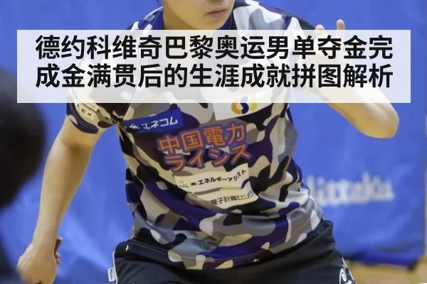 德约科维奇巴黎奥运男单夺金完成金满贯后的生涯成就拼图解析
